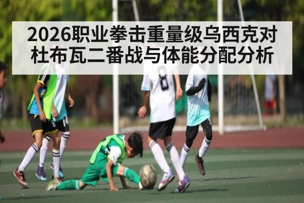 2026职业拳击重量级乌西克对杜布瓦二番战与体能分配分析